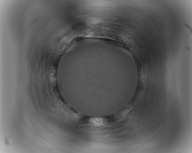 X0000102820181200808181254