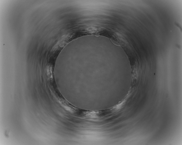 X0000102820182200808181254