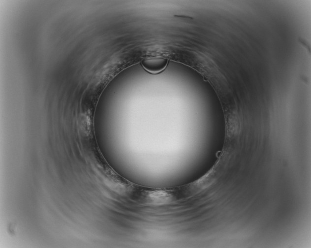 X0000102820183200808181254