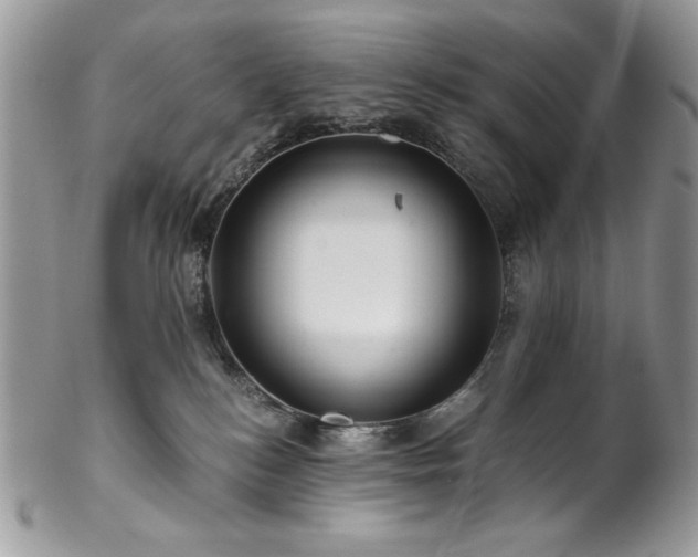 X0000102820184200808181254