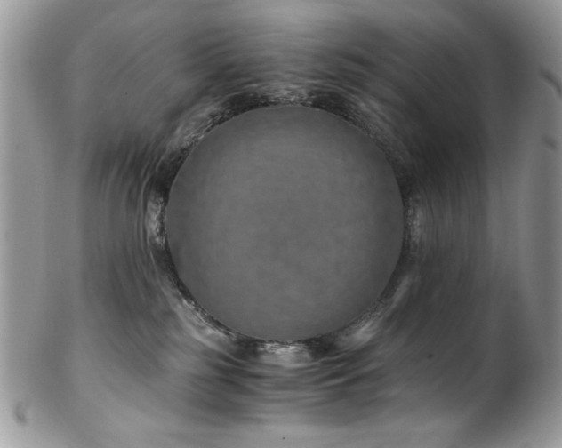 X0000102820185200808181254
