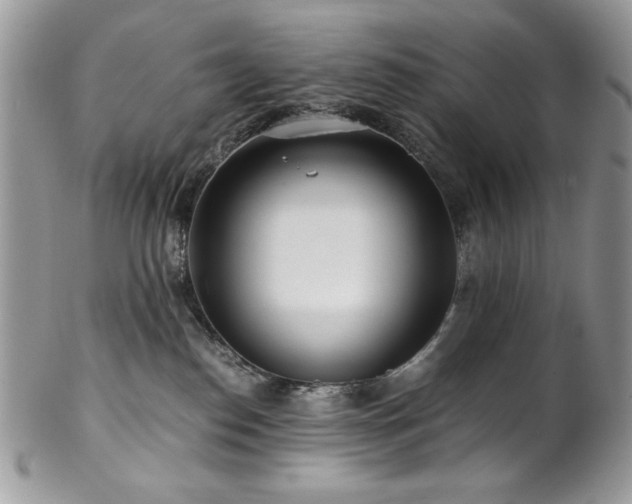 X0000102820186200808181254