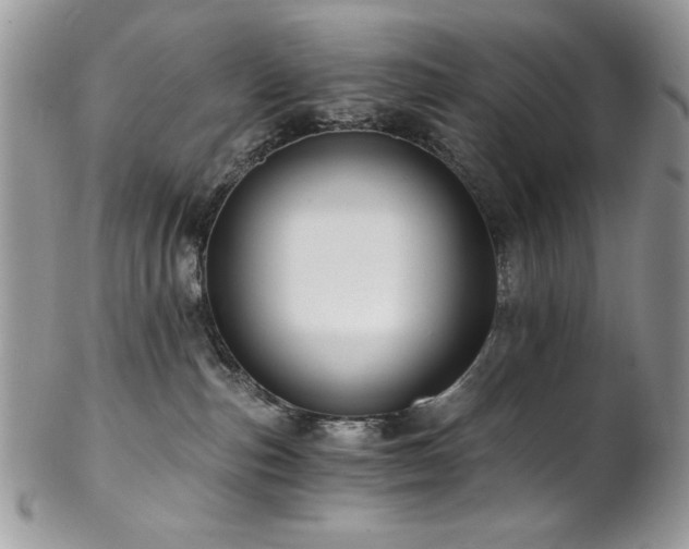 X0000102820187200808181254