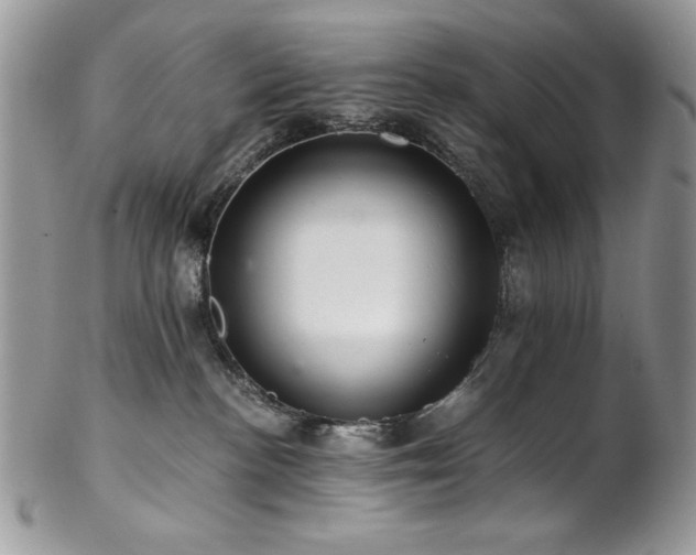 X0000102820188200808181254