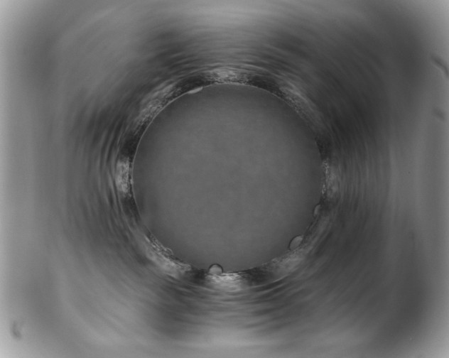 X0000102820189200808181254
