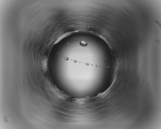 X0000102820190200808181254