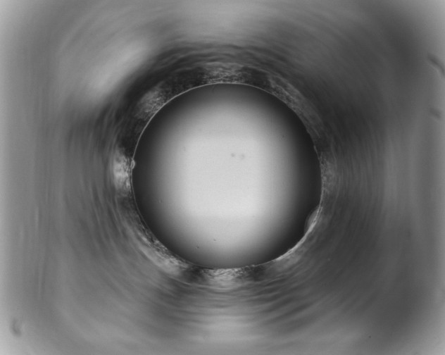 X0000102820191200808181254