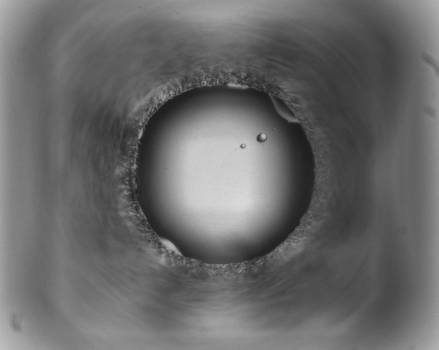 X0000102820192200808181254