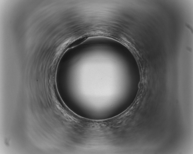 X0000102820193200808181253