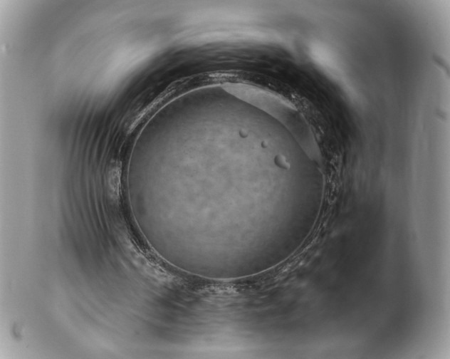 X0000102820194200808181253