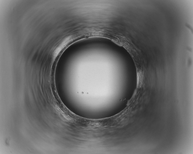 X0000102820195200808181253