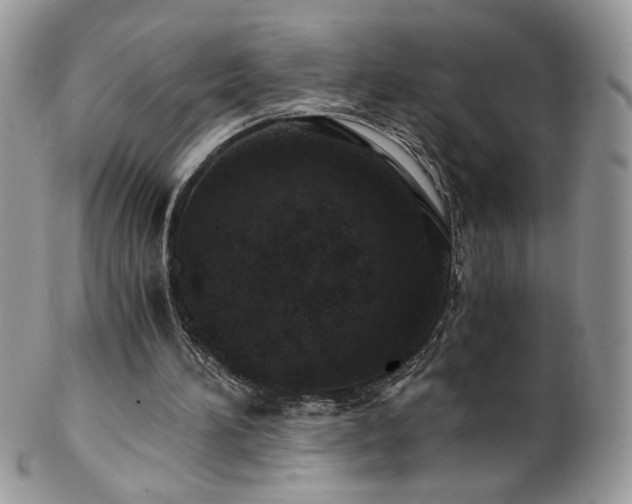 X0000102820196200808181253
