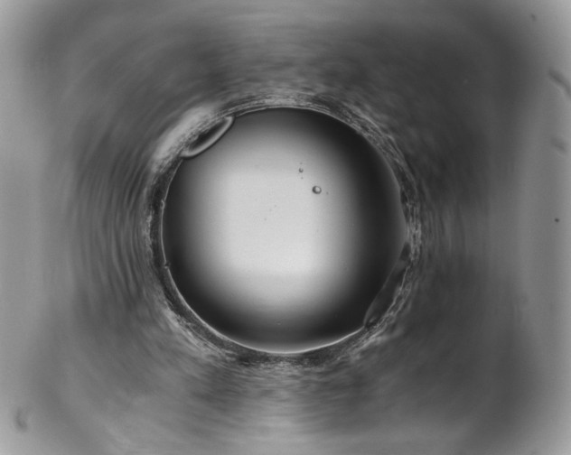 X0000102820197200808181253