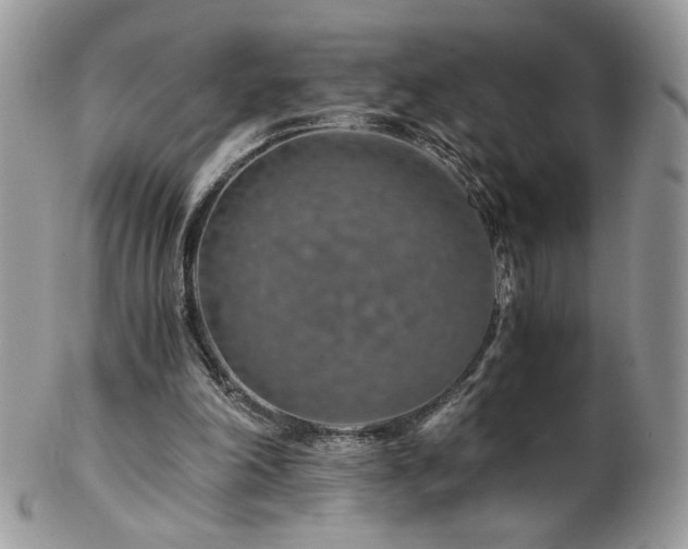 X0000102820198200808181253