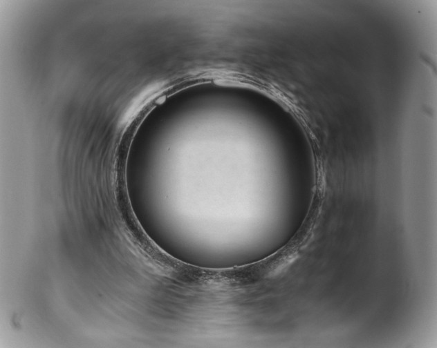 X0000102820199200808181253