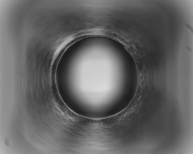 X0000102820200200808181253