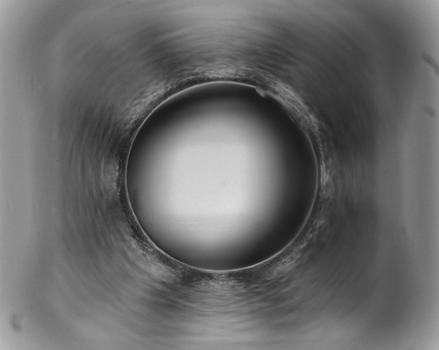 X0000102820201200808181253