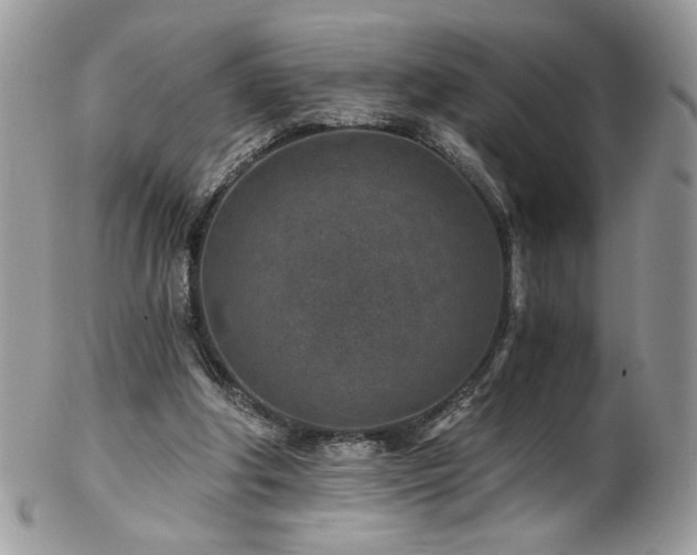 X0000102820202200808181253