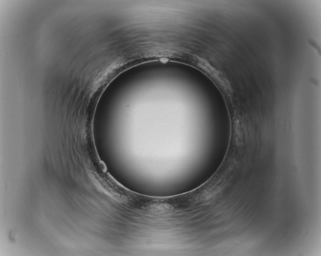 X0000102820203200808181253