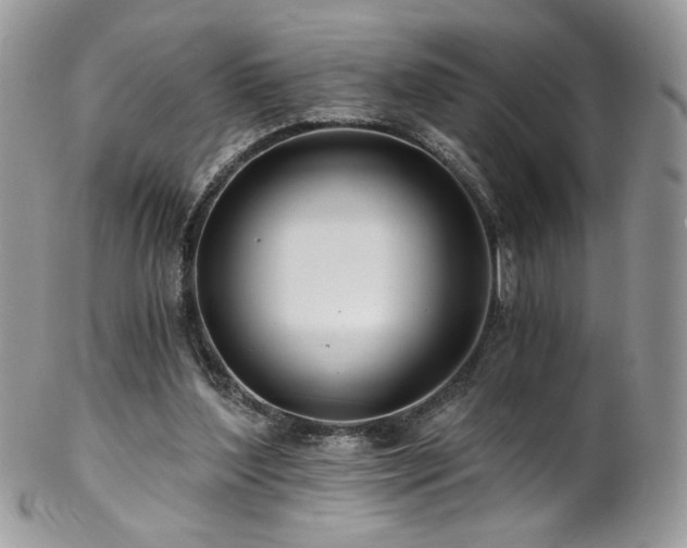 X0000102820204200808181253