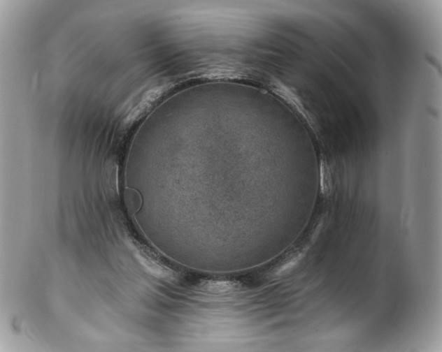 X0000102820205200808181253