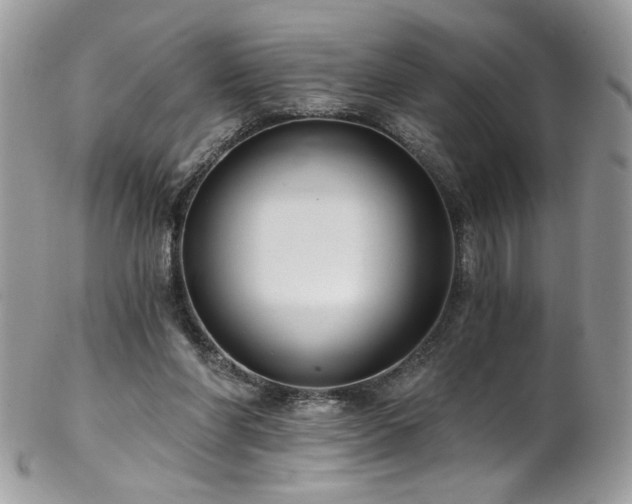 X0000102820206200808181253
