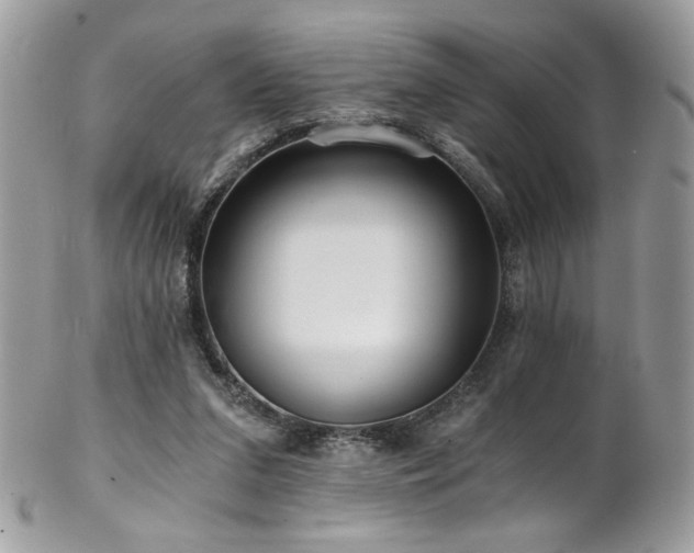 X0000102820207200808181253