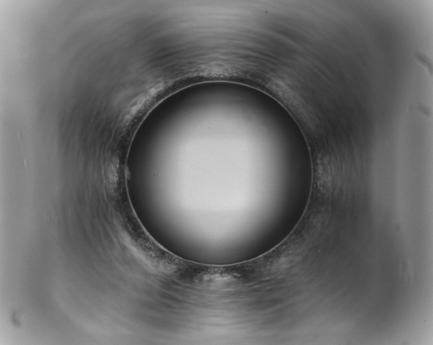 X0000102820208200808181253