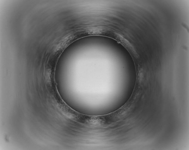 X0000102820209200808181253