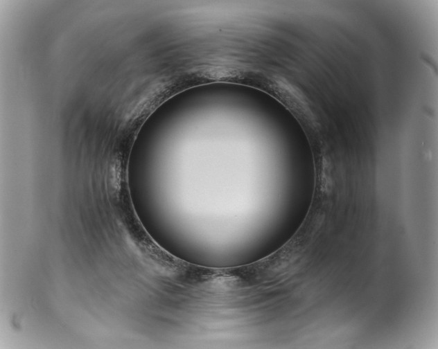 X0000102820210200808181253