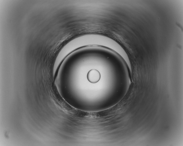 X0000102820211200808181253