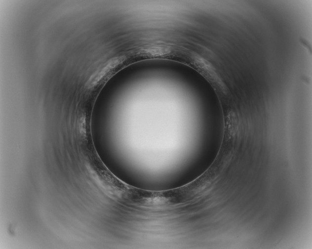 X0000102820212200808181253