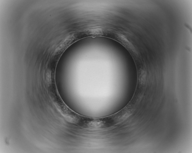 X0000102820213200808181253