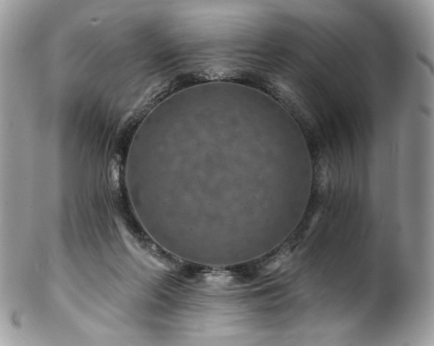 X0000102820214200808181253