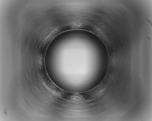 X0000102820215200808181253