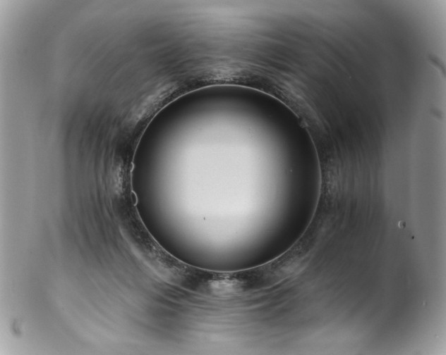 X0000102820216200808181253