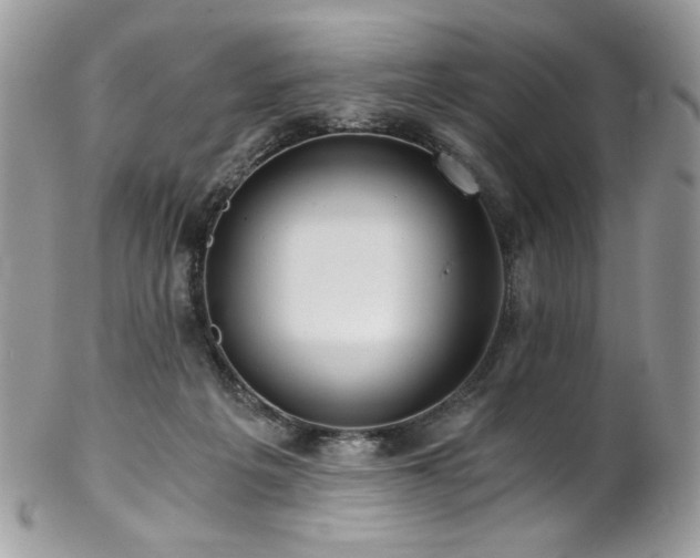 X0000102820217200808181253