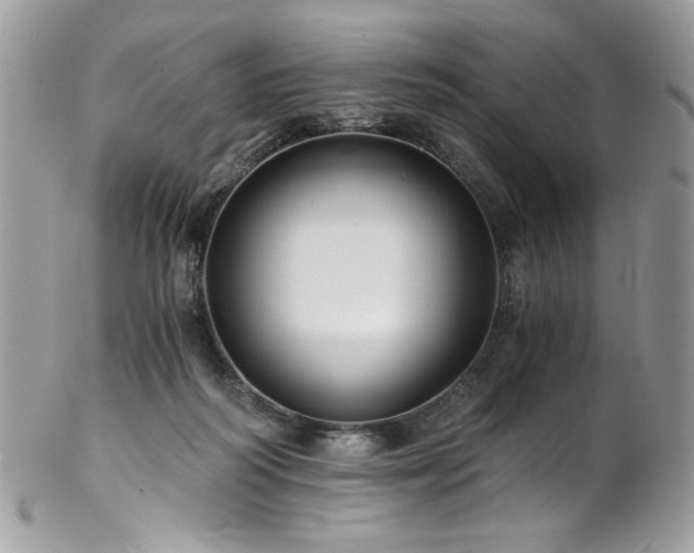X0000102820218200808181253