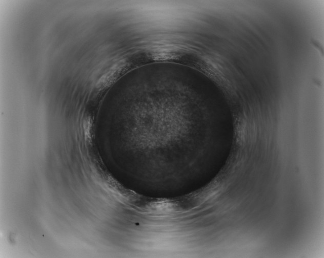 X0000102820219200808181253