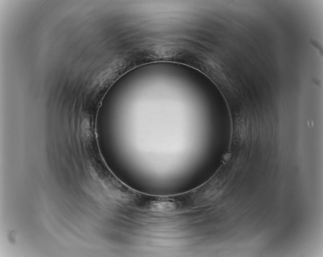 X0000102820220200808181253