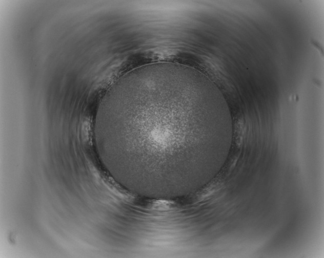 X0000102820222200808181253