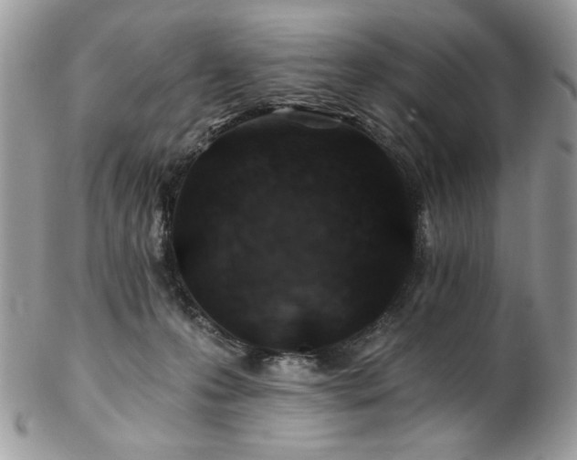 X0000102820223200808181253