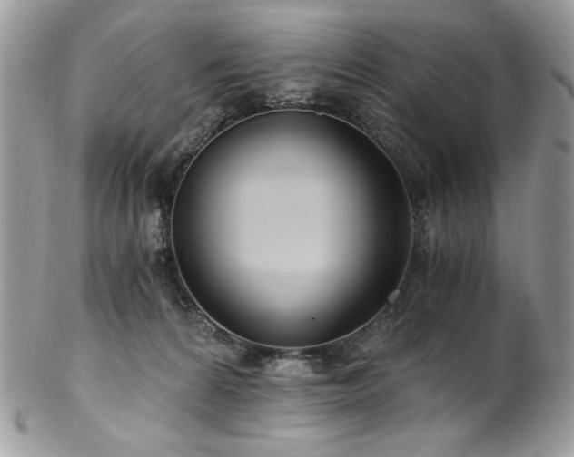 X0000102820224200808181253