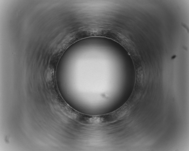 X0000102820225200808181253