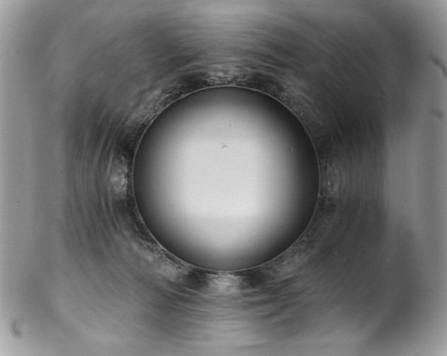 X0000102820226200808181253