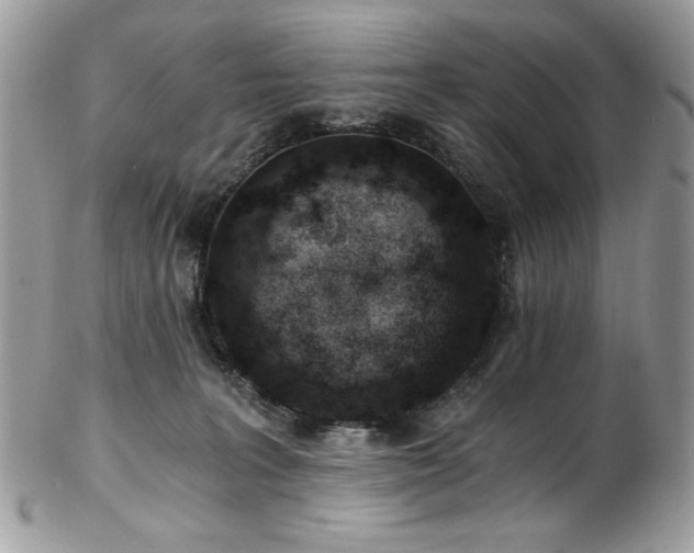 X0000102820227200808181253