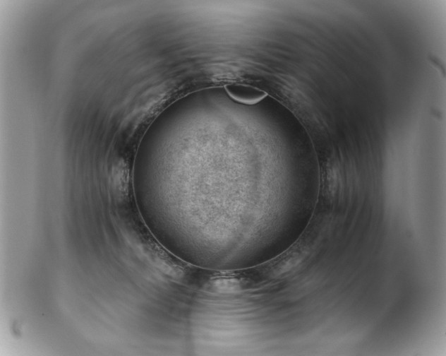 X0000102820228200808181253