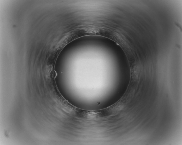 X0000102820229200808181253