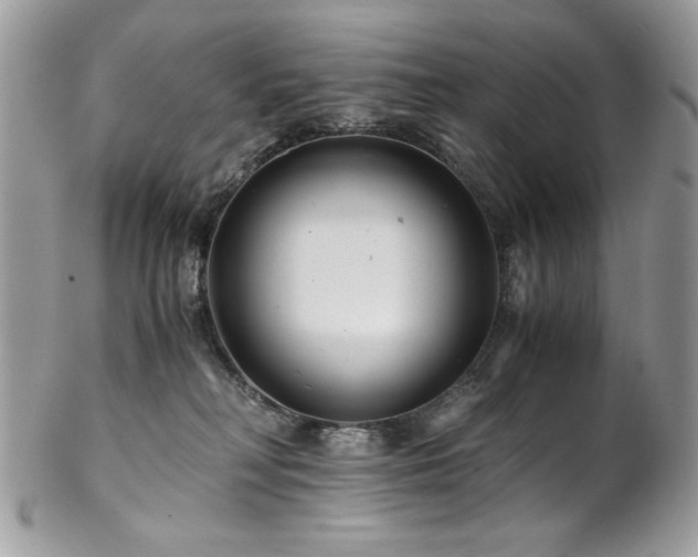 X0000102820230200808181253
