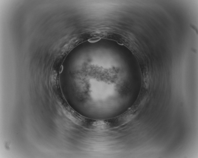 X0000102820231200808181253